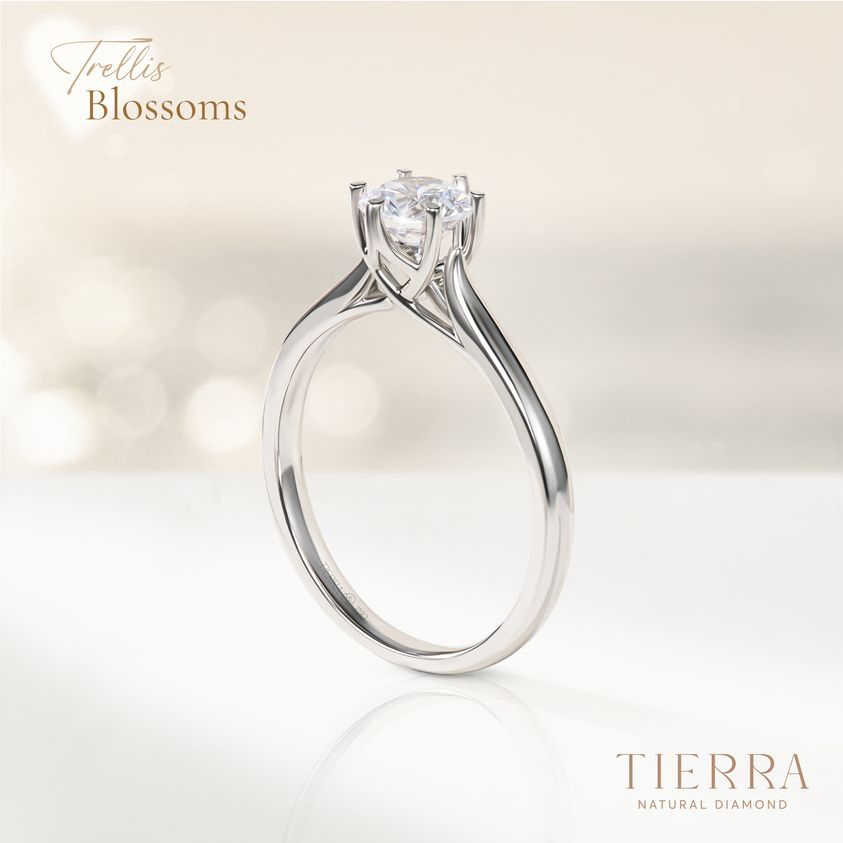 Nhẫn cầu hôn Trellis NCH1407